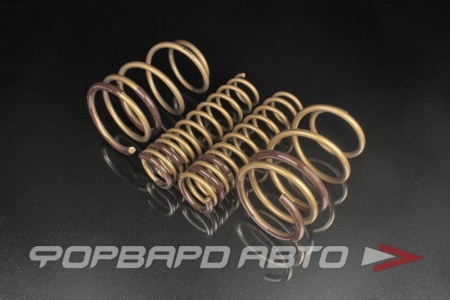 Купить Пружины SKE18-G1B00 MMC Lancer EVO X CZ4A, High Tech TEIN 