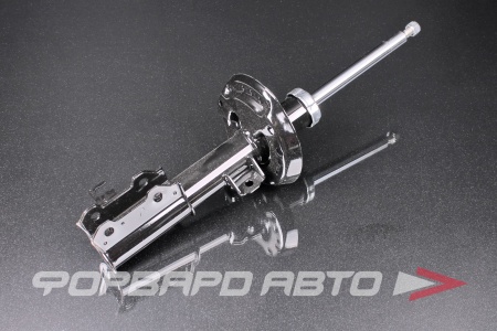 Купить Амортизатор передний, левый MILES DG11471