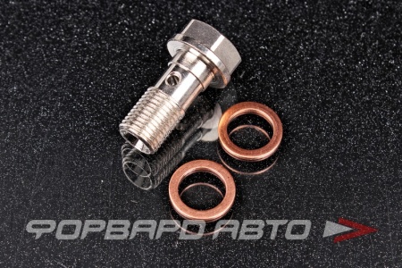 Купить Болт BANJO М10*1,0*22 (1,5 mm) Borgwarner K03-0014, K03-0038 рестриктор подачи масла KINUGAWA 315-01101-008