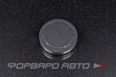 Купить Заглушка D 40 (0*40*7) SNF D067