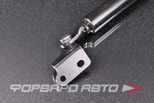 Амортизатор задней двери Zekkert GF2395