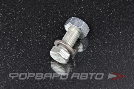 Купить Болт М10*1,0*25 кардана ГАЗ 3110, 3302, УАЗ в сборе (болт,гайка,гровер) Красная Этна 201518-СБ