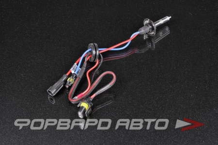 Купить Лампа ксенон H7 6000K AMP Китай 