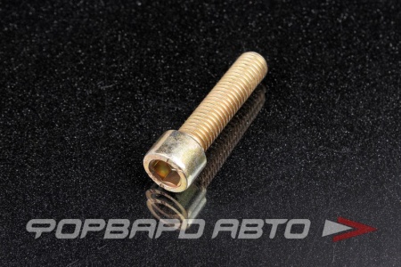 Купить Винт  М12*1,75*50 (12,9) внутренний шестигранник HGK 