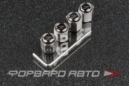 Купить Колпачок вентиля колеса 350Z с шестигранником (не для алюминиевого ниппеля) MELCO TA021