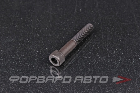 Купить Винт цилиндр. с внутренним шестигранником М8*50 DIN912 высокопр. пр.12,9  