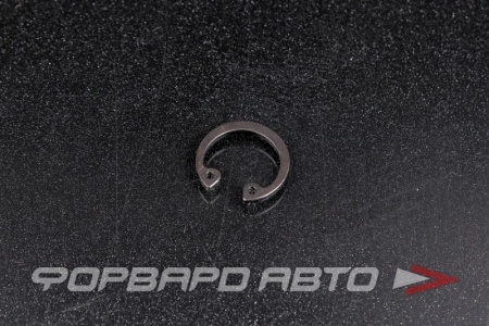 Купить Кольцо стопорное Dвал.=17 Dном.= 15.7 Китай 1/10663-76