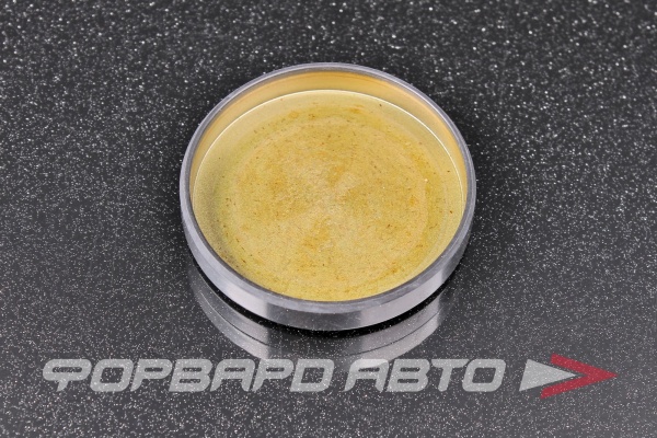 Заглушка D 47 (0*47*8) TTO D7114