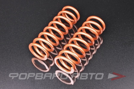 Купить Пружины для койловеров 6 кг, длина 254мм, ID65мм, универсальные SWIFT Z65-254-060