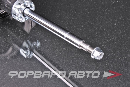 Купить Амортизатор передний, левый MILES DG11013