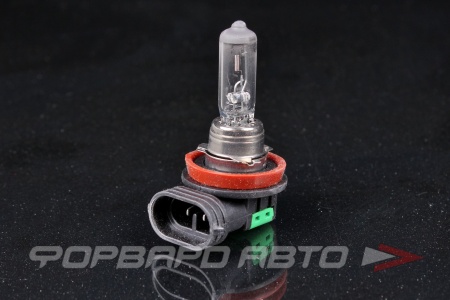 Купить Лампа H11 12V 55W Day&Night CARBERRY 31CA5