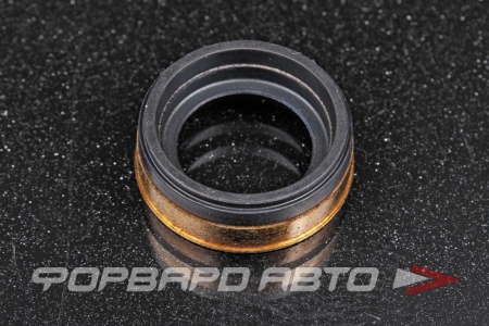 Купить Сальник форсунки 19*28*9 MAZDA WE01-10-508B