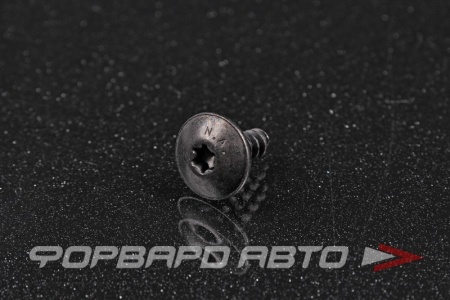 Купить Саморез 5*16 с головкой TORX T25 VAG N 909 747 01 Купить Саморез 5*16 с головкой TORX T25 VAG N 909 747 01