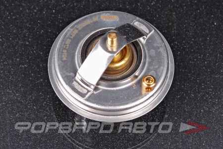 Купить Термостат SWAG 30108922