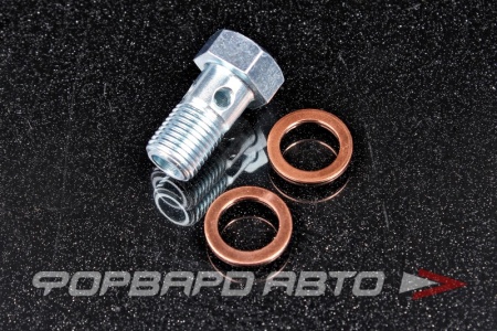 Купить Болт BANJO М10*1,0*20 с шайбами FA1 989-10-015.021