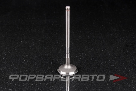 Купить Клапан выпускной N-ROCKY TB-123-0