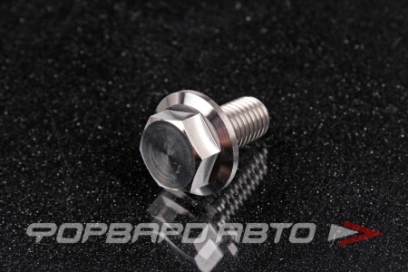 Купить Болт М10*1,5*20 титановый с фланцем FORA TITANIUM DIN6921-10*1.5*20Ti