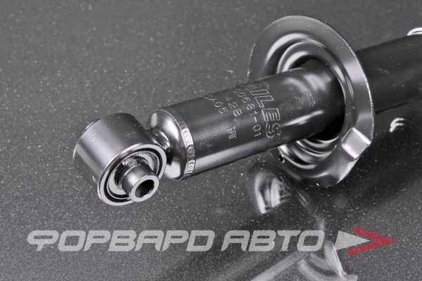 Амортизатор задний MILES DG00681-01