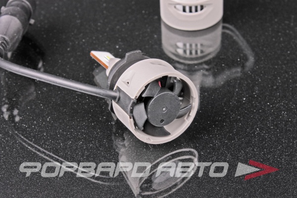 Лампа светодиодная 12-24V HIR2 (PX22d) 6000K (к.уп.2 шт.) Range Performance Advanced LED NARVA 18186