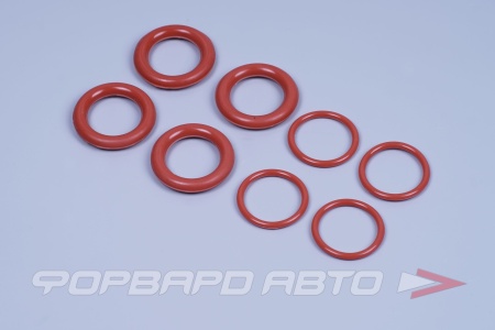 Купить Сальники свечного колодца ВАЗ 2110-12 (кольца) к-т Автолайн 2112-1003076-01