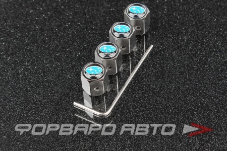 Купить Колпачок вентиля колеса SUBARU с шестигранником (не для алюминиевого ниппеля) MELCO TB078