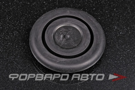 Купить Заглушка кузова D42 GENERAL MOTORS 94535987