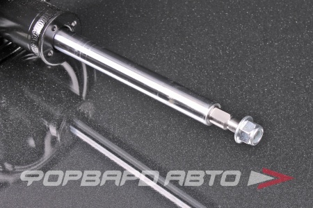 Купить Амортизатор передний, левый MILES DG11327