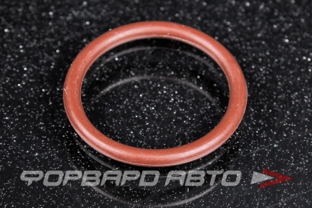 Купить Кольцо уплотнительное клапана VVT HONDA 15832-PNA-023