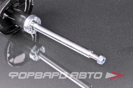 Купить Амортизатор задний, левый MILES DG11207-01