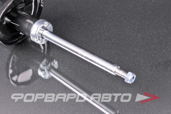 Амортизатор задний, левый MILES DG11207-01