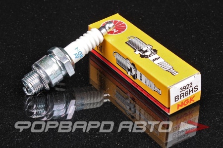 Купить Свеча зажигания NGK 3922