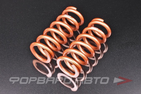 Купить Пружины для койловеров 14 кг, длина 228мм, ID65мм, универсальные SWIFT Z65-228-140