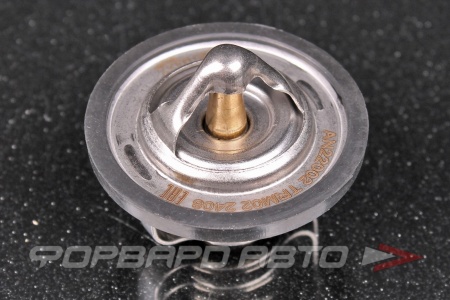 Купить Термостат MILES AN22002