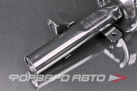 Купить Амортизатор передний, левый MILES DG11717-01