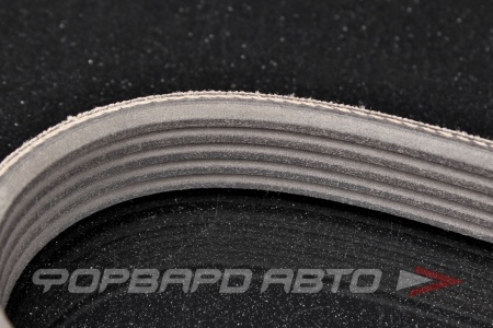 Купить Ремень поликлиновой BLACK BELT 5PK1175