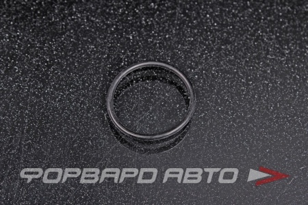 Купить Кольцо уплотнительное маслостойкое 19*1,5 NOK OR-01.50_019.00