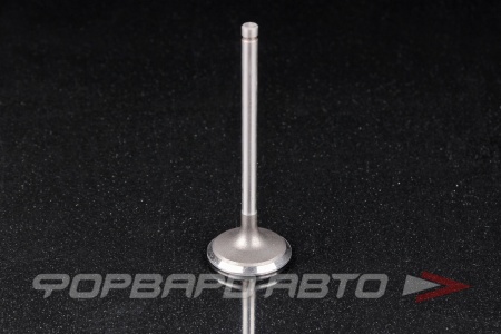 Купить Клапан впускной N-ROCKY TA-112-0