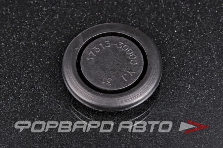 Купить Заглушка кузова D-30 HYUNDAI / KIA 17313-30000