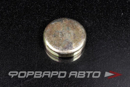 Купить Заглушка блока двигателя WPM-45мм  