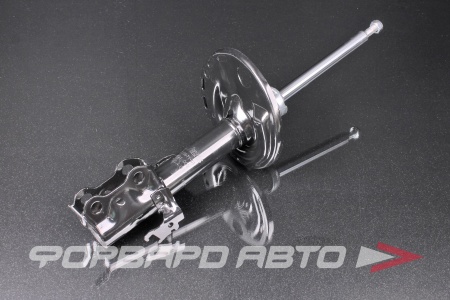 Купить Амортизатор передний, левый MILES DG11071-01