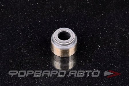 Купить Колпачок маслосъемный NOK BV5844-E0