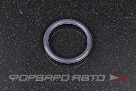 Купить Кольцо уплотнительное системы охлаждения NOK CO1341-N2