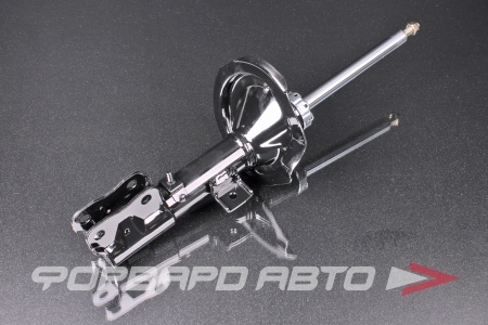 Купить Амортизатор передний, левый MILES DG11073-01