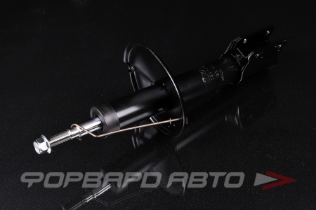 Купить Амортизатор передний MILES DG01033