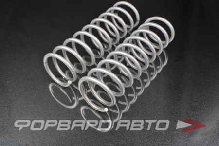 Купить Пружины задние ВАЗ-2121 SS20 SS30110