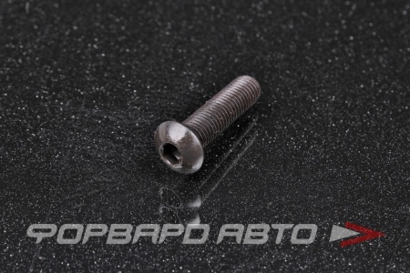 Купить Винт полукруглый под внутренний шестигранник 1/4-28*1" (ISO 7380 UNF 10,9-12,9) <> 