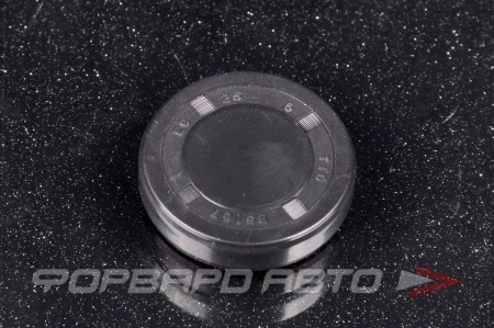 Купить Заглушка D 25 (0*25*6) TTO B5167