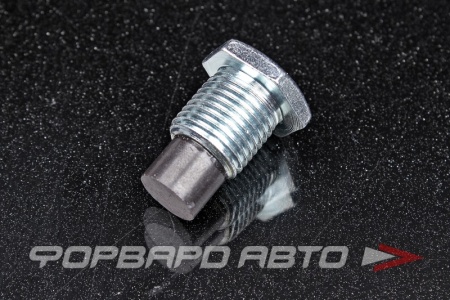 Купить Пробка сливная 16*1,5 масляного поддона, с магнитом FA1 153.520.001