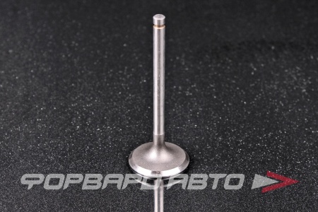 Купить Клапан впускной N-ROCKY SA-24-0