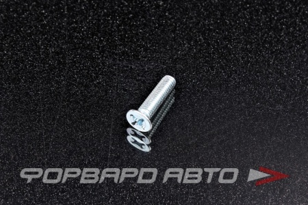 Купить Винт 6*25 (потайной) оцинк.  510K-M6-25